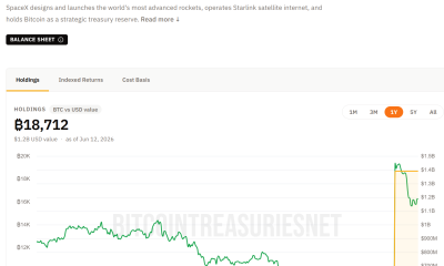 SpaceX BTC Holdings