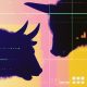 Bitcoin, ether, solana slide as AI trade continues to rip higher