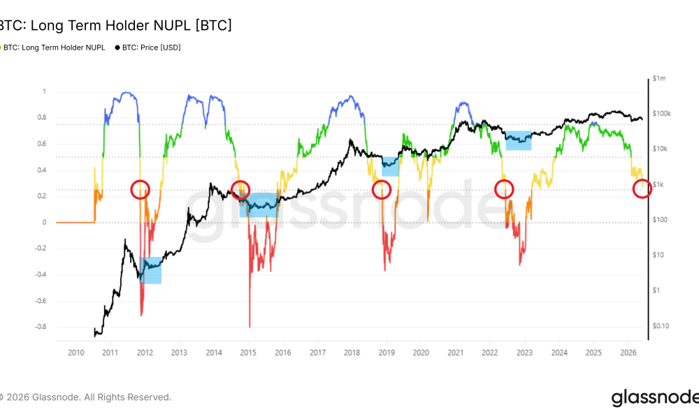 Long term holder NUPL