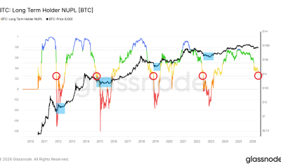 Long term holder NUPL