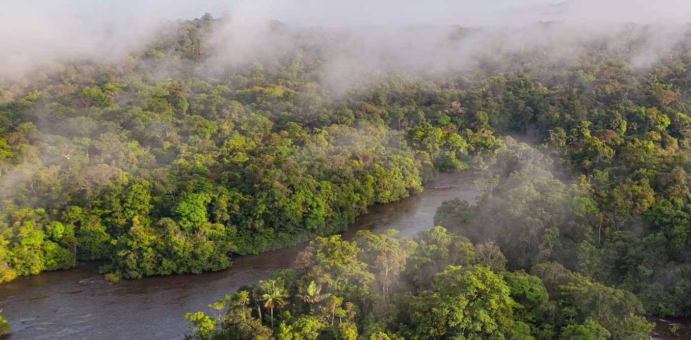 an ancient Amazonian world revealed from the sky