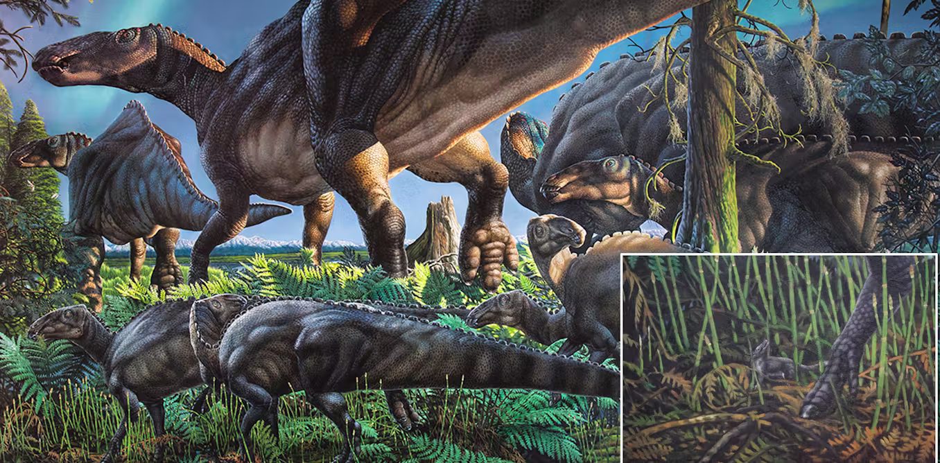 tiny teeth of newly discovered species suggest it was a cradle of mammalian evolution