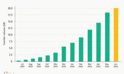 Growth of tokenized stocks