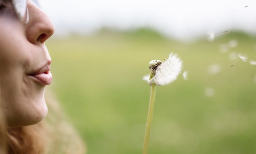 Pollen concern hits a record high: Study reveals how concerned Portsmouth locals are amid the heatwave