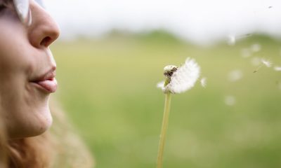 Pollen concern hits a record high: Study reveals how concerned Portsmouth locals are amid the heatwave