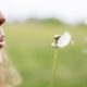 Pollen concern hits a record high: Study reveals how concerned Portsmouth locals are amid the heatwave