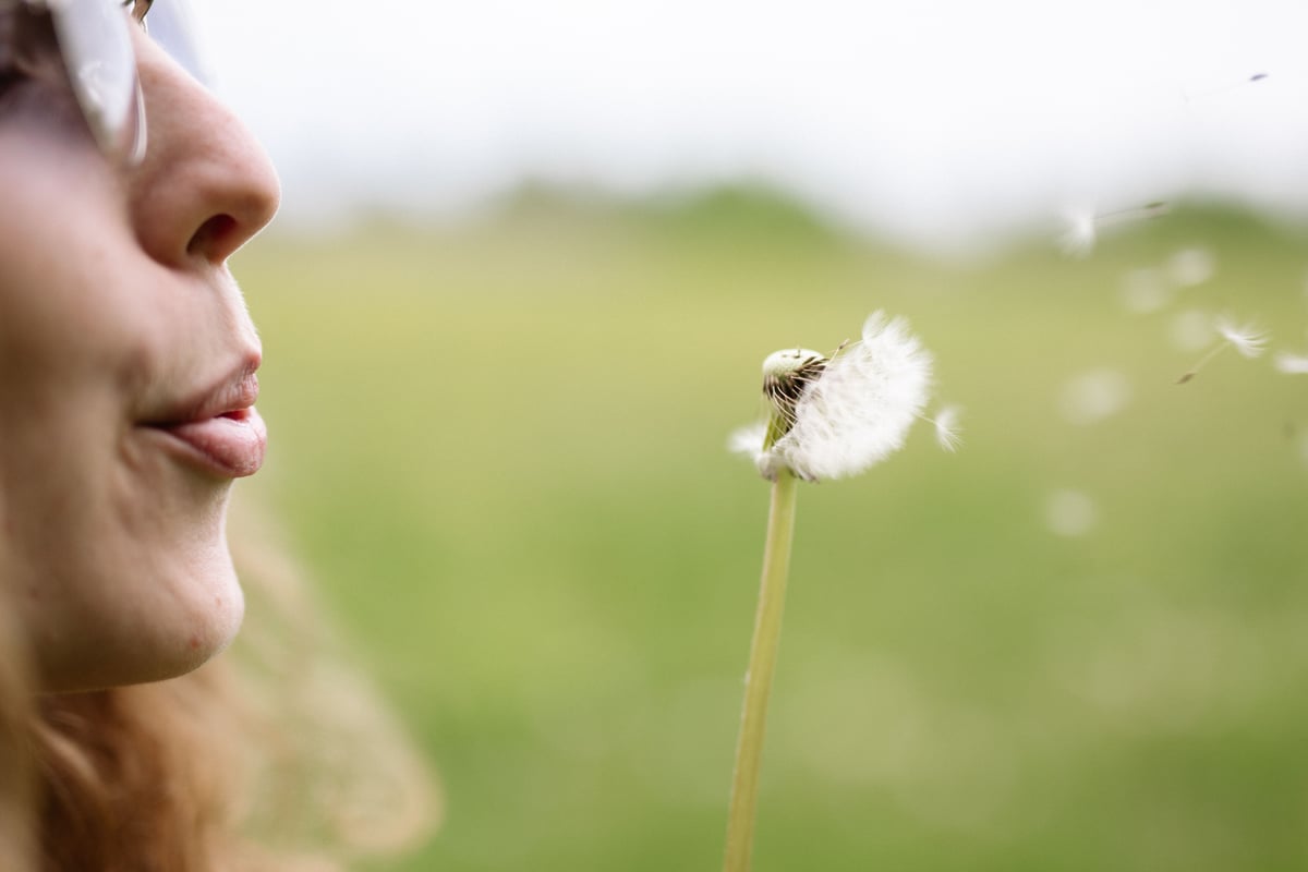 Pollen concern hits a record high: Study reveals how concerned Portsmouth locals are amid the heatwave