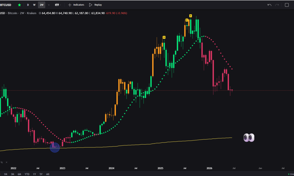 Bitcoin Price Eyes $24K if US Stock Market Crashes 50% or More