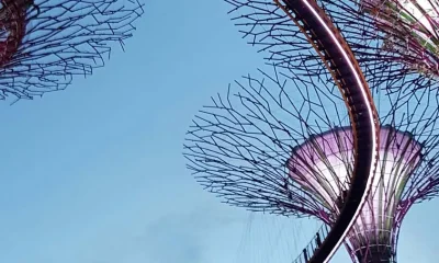 How Foreign Investors Should Structure Company Formation in Singapore