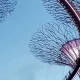 How Foreign Investors Should Structure Company Formation in Singapore