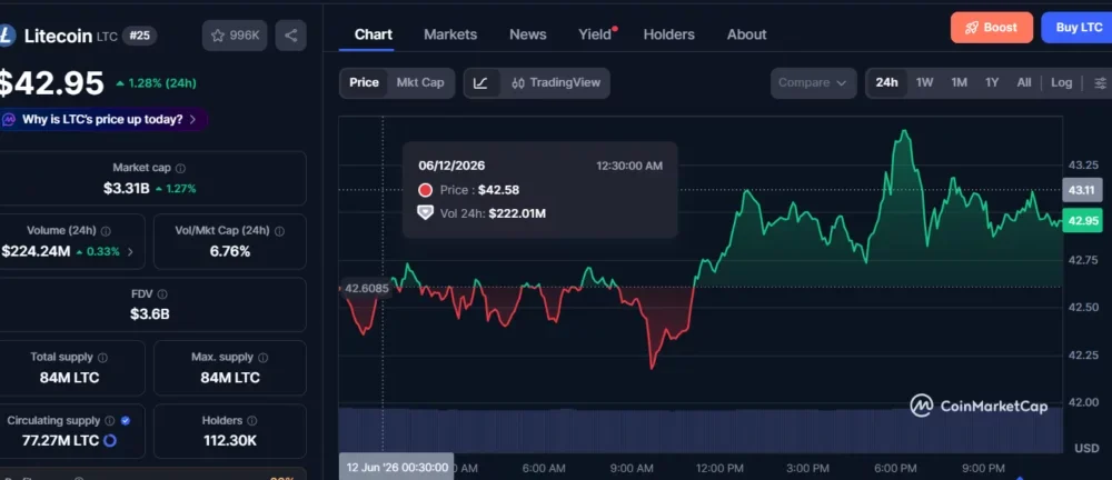 Litecoin whales accumulate as LitVM debate puts LTC back in focus - 2