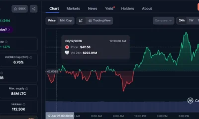Litecoin whales accumulate as LitVM debate puts LTC back in focus - 2