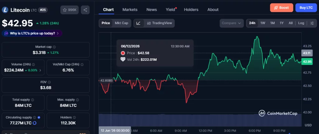 Litecoin whales accumulate as LitVM debate puts LTC back in focus - 2