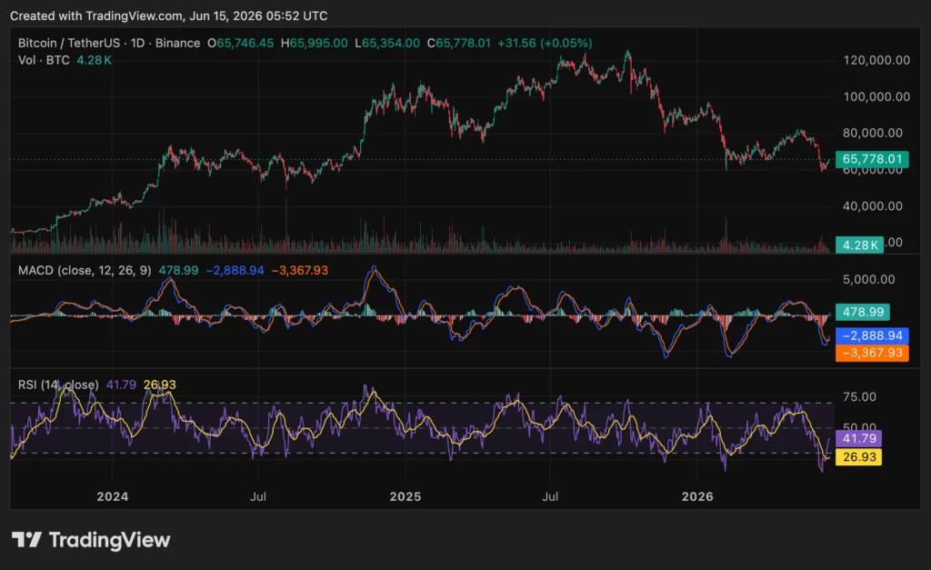 Bitcoin (BTC) price chart, source: crypto.news