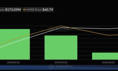 HYPE Spot ETF Net Inflow, source: SoSoValue