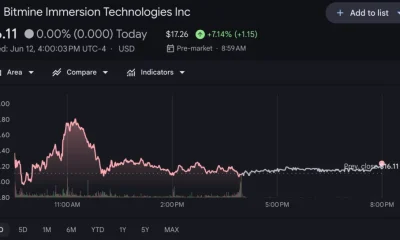 Bitmine (BMNR) price chart, source: Google Finance