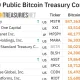 Top 10 public Bitcoin treasury companies ranked by BTC holdings, with Strategy leading at 847,363 BTC and Strive holding 19,864 BTC in seventh place.