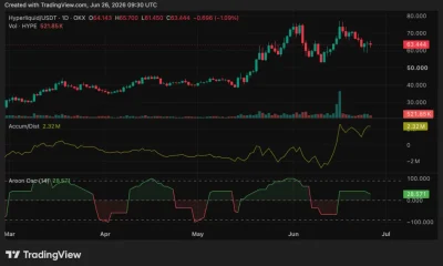 Hyperliquid (HYPE) price chart, source: crypto.news