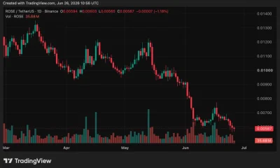 Oasis Network (ROSE) price chart, source: crypto.news