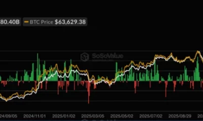 Bitcoin Spot ETF Net Inflow, source: SoSoValue