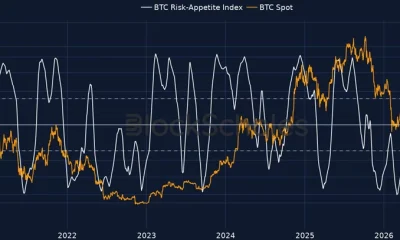 Bitcoin risk appetite index.