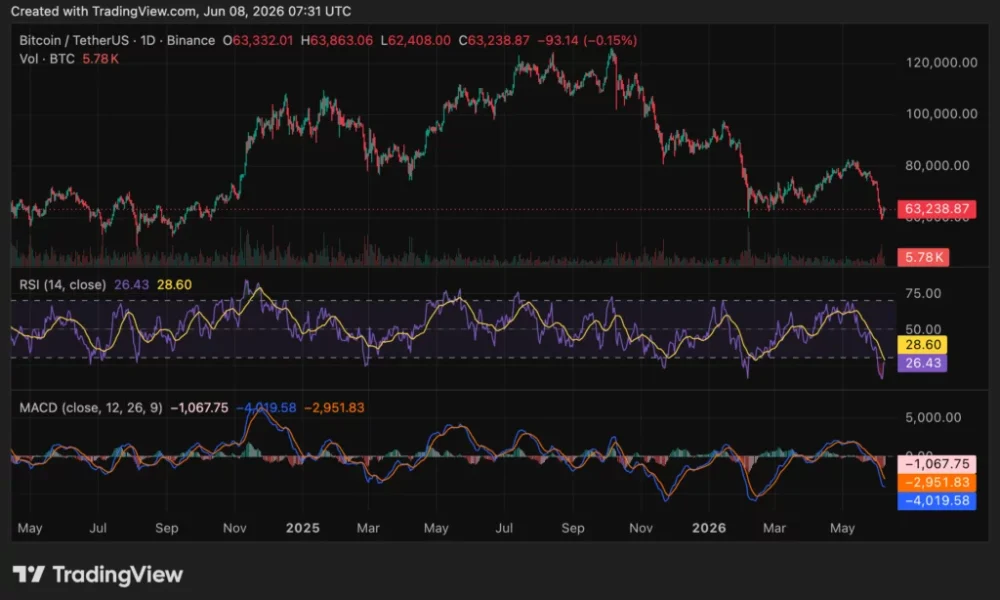 Bitcoin (BTC) price chart, source: crypto.news