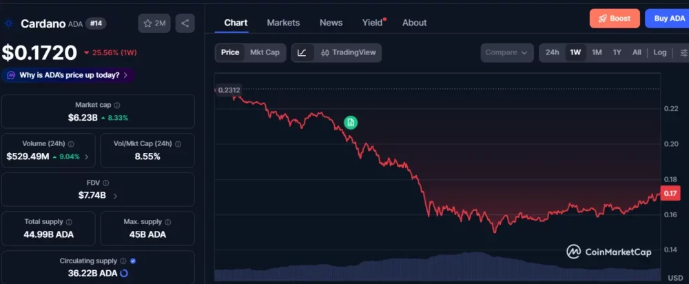 Cardano founder pressed over 1,090 missing Bitcoin as ADA weekly losses top 25% - 2