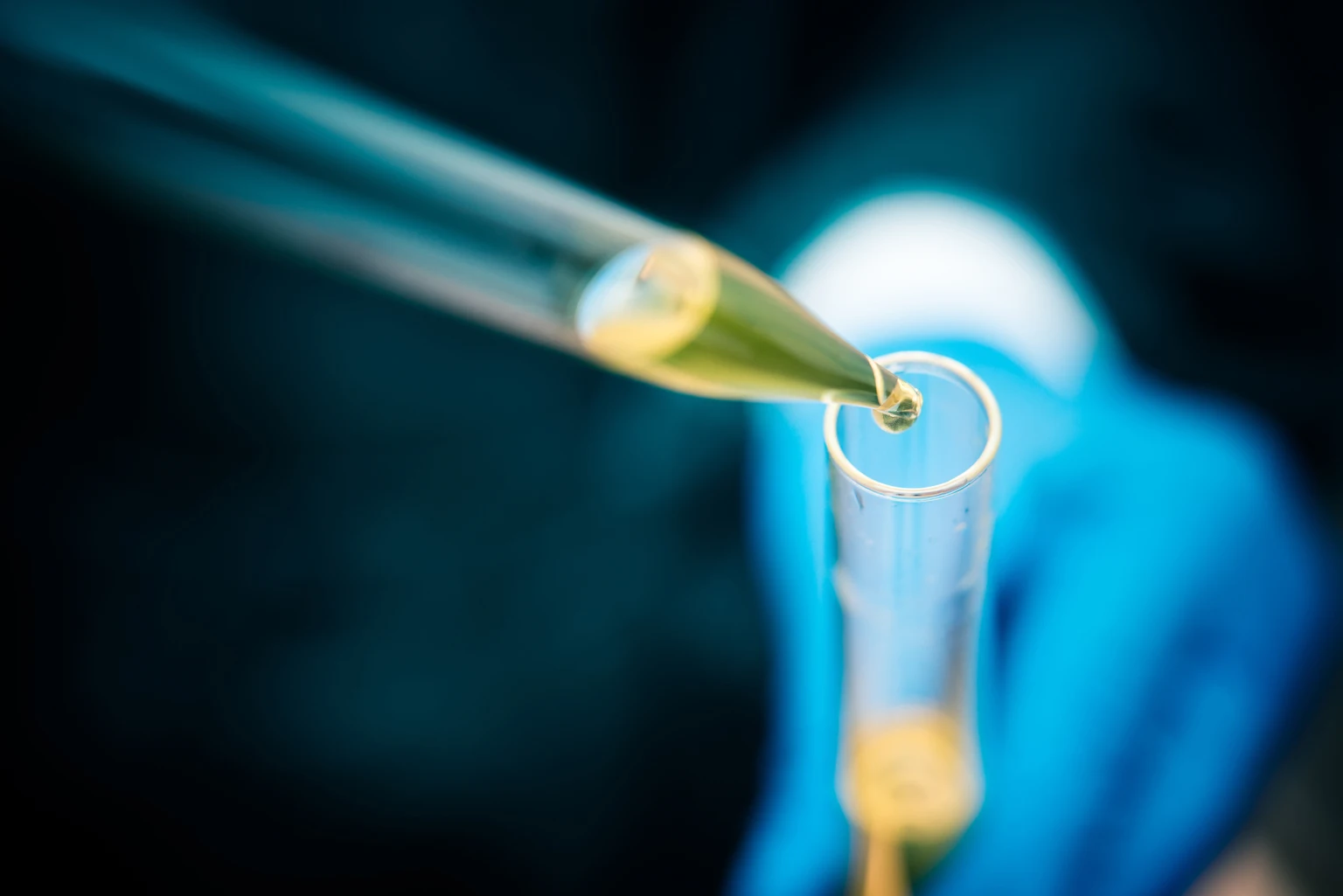 Biotech Is The Rate Cut Trade In Disguise