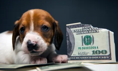 The Fed Is Looking Through The May CPI Report