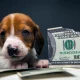 The Fed Is Looking Through The May CPI Report