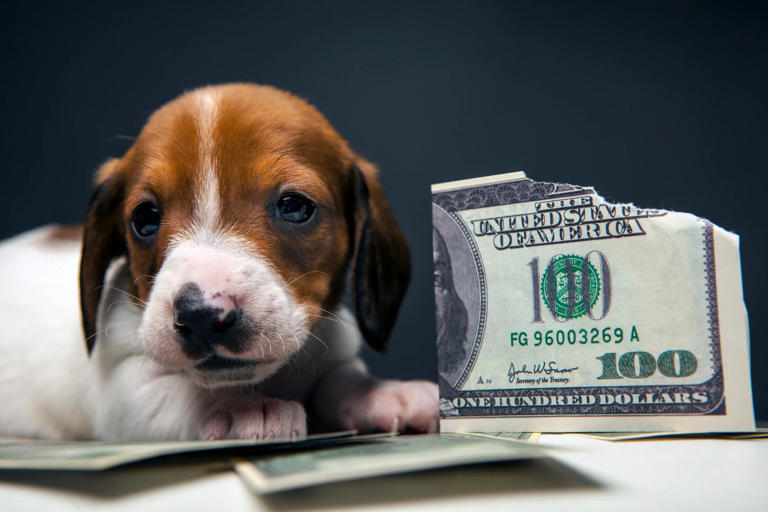 The Fed Is Looking Through The May CPI Report