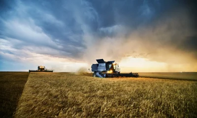 Titan Machinery: Good Management Can't Fully Offset A Bad Farm Cycle
