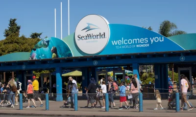 United Parks & Resorts Is Cheap Enough To Ride Out The Pain