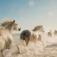 WhiteHorse Finance: Small Portfolio Improvements In Progress (NASDAQ:WHF)
