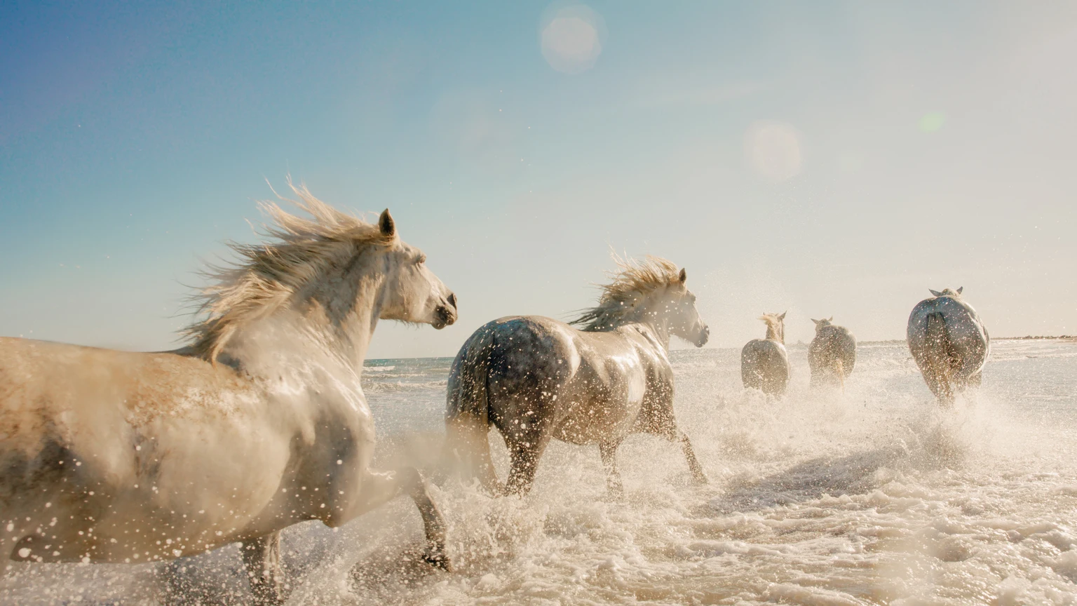 WhiteHorse Finance: Small Portfolio Improvements In Progress (NASDAQ:WHF)