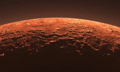 SpaceX At 25x 2027 Sales Is Reasonable If You Understand What Starship Does (NASDAQ:SPCX)