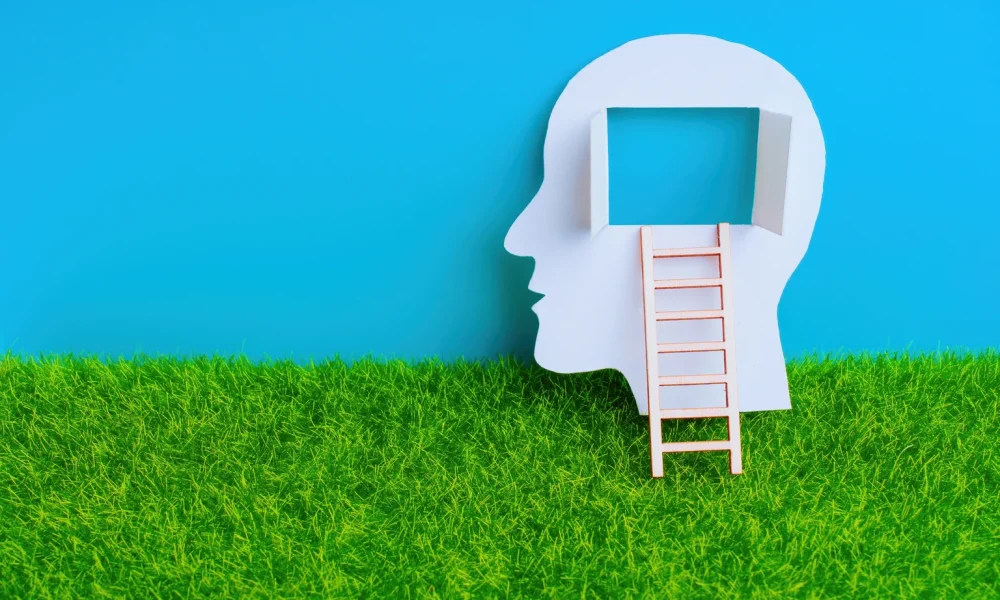 Human Head with Open Window and Ladder on Grass and Sky Backdrop