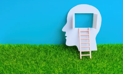 Human Head with Open Window and Ladder on Grass and Sky Backdrop