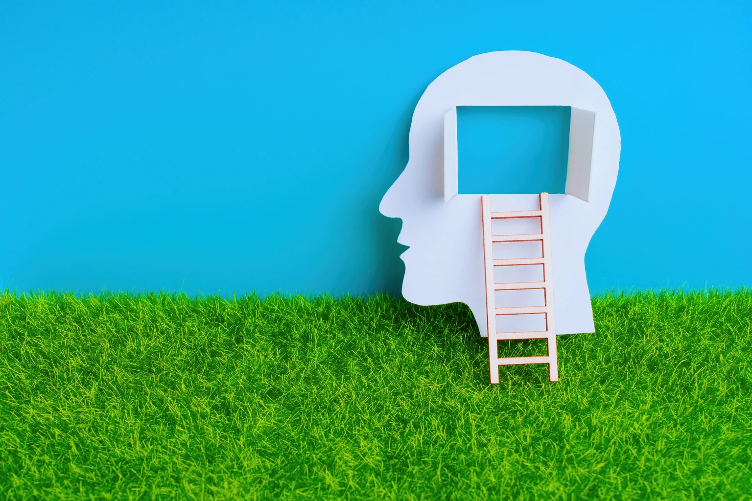 Human Head with Open Window and Ladder on Grass and Sky Backdrop