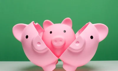 NPFD: Rising Rates May Increase Risk Profile