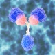 Summit Therapeutics: High-Volatility, Catalyst-Driven Binary Bet (NASDAQ:SMMT)
