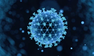 Silence: 'Buy' Zerlasiran Program Shift And Divesiran Results August 2026 (NASDAQ:SLN)