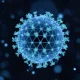 Silence: 'Buy' Zerlasiran Program Shift And Divesiran Results August 2026 (NASDAQ:SLN)