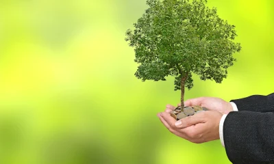 LendingTree: Wall Street Dumped The Stock, But Strong Insurance Growth Makes Me Bullish