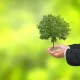 LendingTree: Wall Street Dumped The Stock, But Strong Insurance Growth Makes Me Bullish