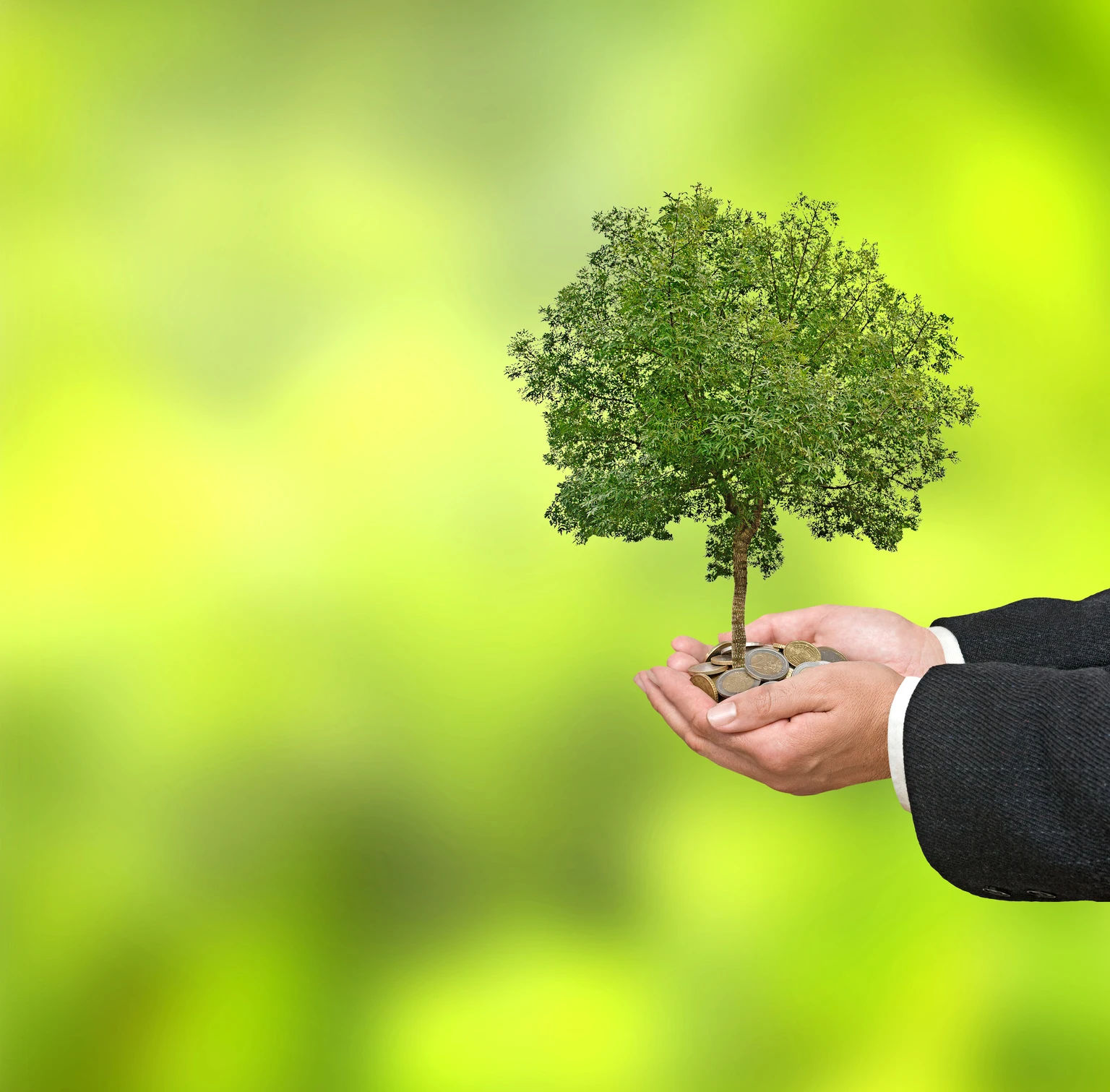 LendingTree: Wall Street Dumped The Stock, But Strong Insurance Growth Makes Me Bullish