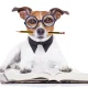Readers Site 8 Ideal 'Safer' Dividend Buys In May