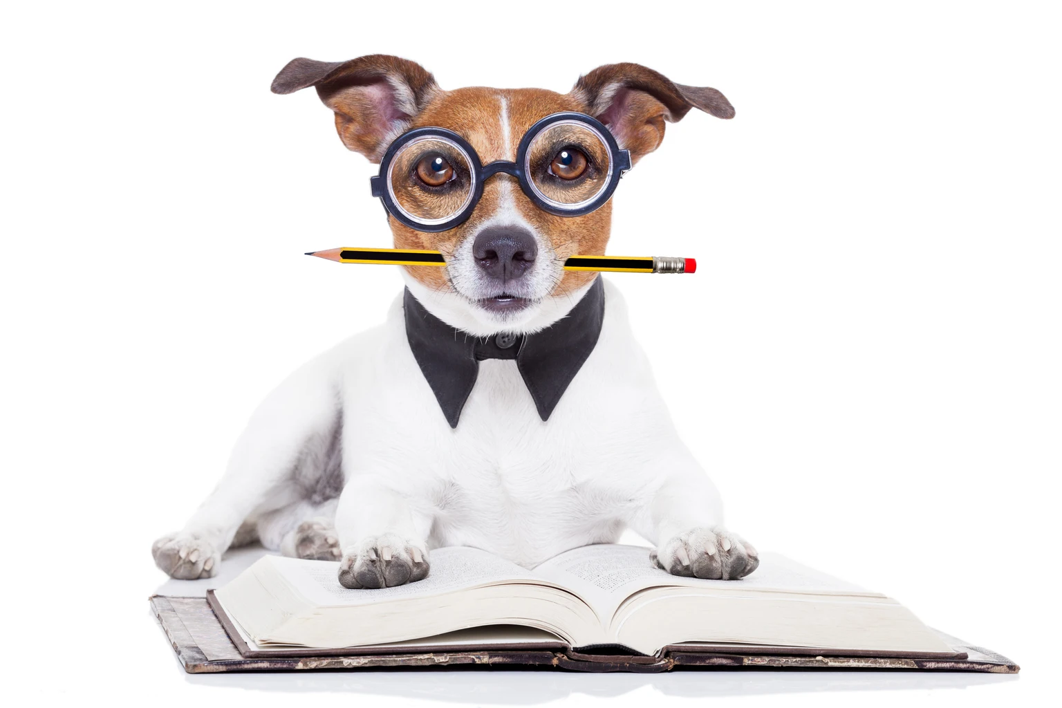 Readers Site 8 Ideal 'Safer' Dividend Buys In May