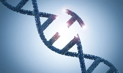 Prime Medicine's Prime Editing Is Worth The Risk