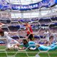 Iran's fans, pro and con
